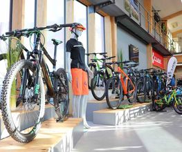 Fahrrad Rabl Bild 3