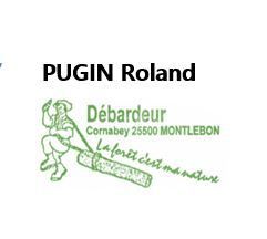 Pugin Roland