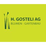 H. Gosteli AG