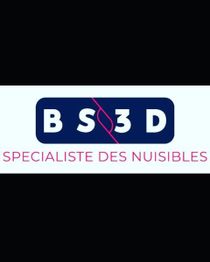 BS3D