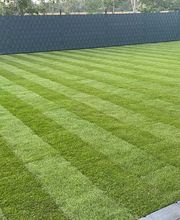 Gartenlandschaftsbau Ebert Bild 7