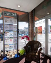 Cars Collard image 5