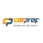 CarProf Huiskes van Zummeren