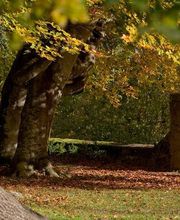 Abbaye de l'Escaladieu image 11