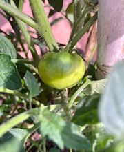 B&B Puente de Órbigo imagen 4