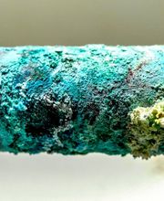 Drain Force Plumbing image 15