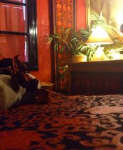 Institut O'Delys image 4