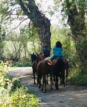Cerdanya Eqüestre imagen 17