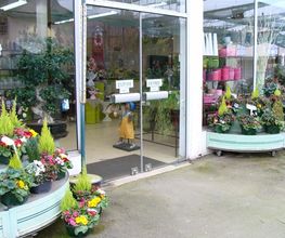 Central fleurs image 3