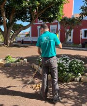 SM Servicios de Limpieza en Las Palmas imagen 13