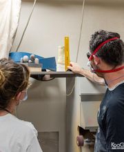 ORTHOTEC EURL image 9