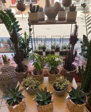 Aux Fleurs De Célia image 2