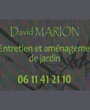 David Marion image 1