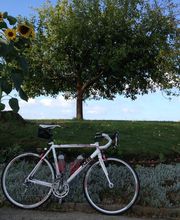 Fahrraddoktor Bild 1