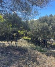 Elag'Art et Jardins image 3