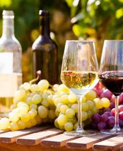BODEGAS MASS imagen 14