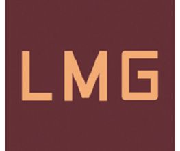 Lmg 33 image 2