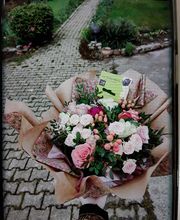 La Tulipe Noire image 16