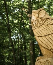 FriedWald Kalletal Bild 6