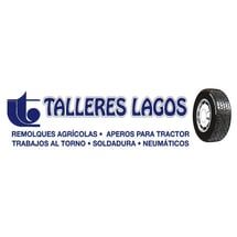 Talleres_Lagos_Logo.jpg