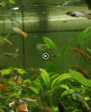 STALLER Martin EIRL AQUABOUTIK image 10