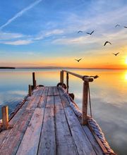 Boiteau Frédérique image 6