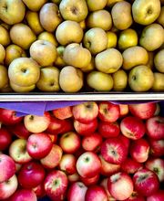 Epicerie O Local image 7