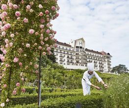 Hôtel Royal Evian image 11