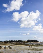 L'île Aux Huîtres SARL image 5