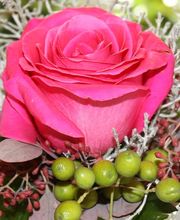 Bestattungshaus Koch Bild 6