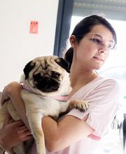 Clinique véterinaire des trois fontaines image 10