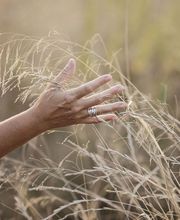 Alicia Navarro Psicóloga imagen 1