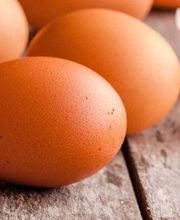 Granja Hima - Huevos Hima imagen 1