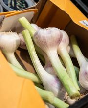 11_rewe_obst-gemuese_4