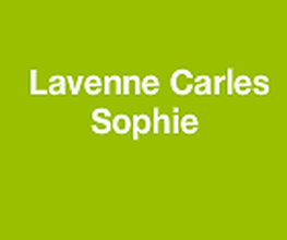 CARLES image 1