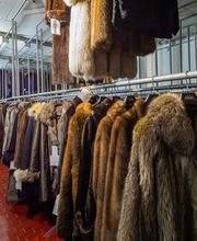 Gallery Professionale