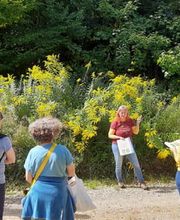 Heilpraktikerin - Sonja Hahn - Naturheilpraxis für Frauen und Familliengesundheit Bild 10