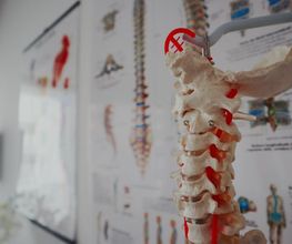 Human Care - Fisioterapia e Riabilitazione - Centro del Mal di Schiena Bild 4