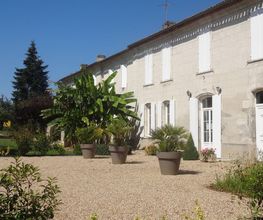 Vignobles Gabard image 6