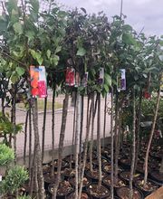 Bricomarché Romilly Sur Seine image 2