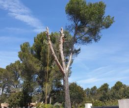 Sannier David Espaces Verts image 8