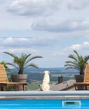 Frey Gartenbau GmbH & Co. KG Bild 8