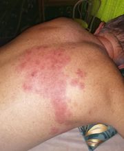 Tellier Séverine image 4