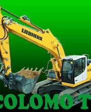 Colomo Alain TP image 1