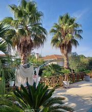 Guerro Elagage image 15