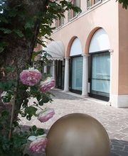 Clinica Veterinaria San Carlo immagine 1