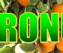 portada_agronul.JPG