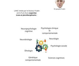 QUANTIC ATYPIQUE image 4