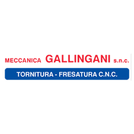 Meccanica Gallingani logo