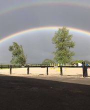 Ecuries des Tourelles image 7